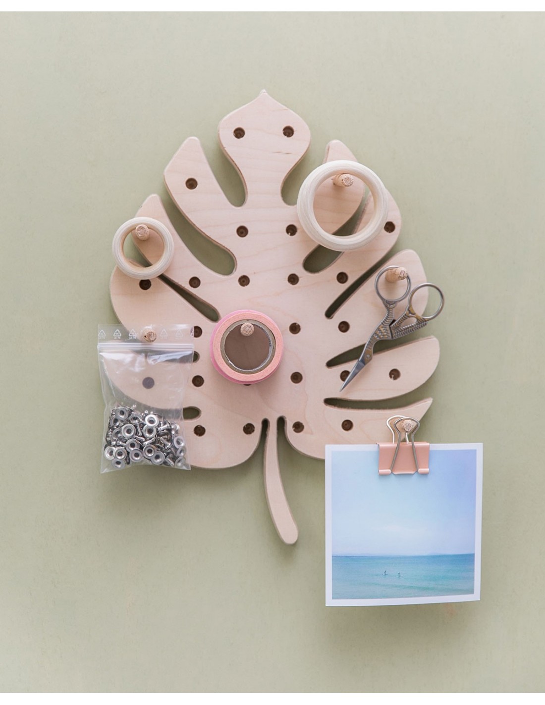 Pegboard Monstera