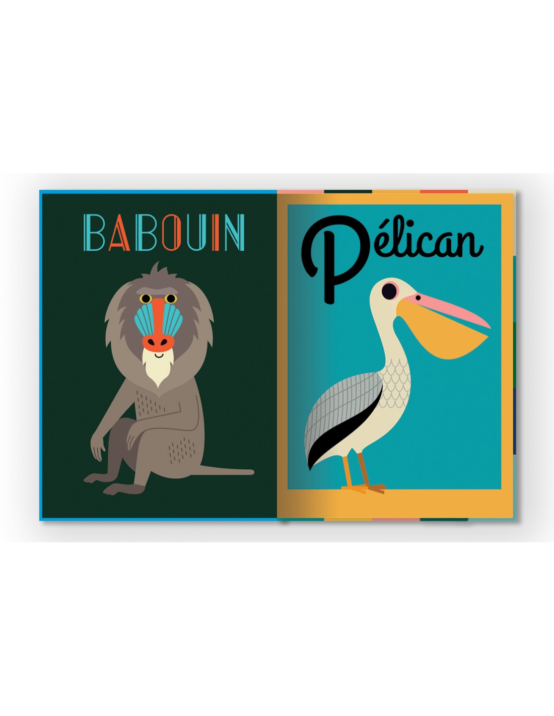 Livre géant Animaux autour du monde