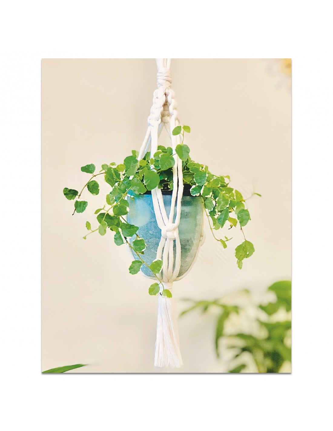 Kit macramé mini suspension