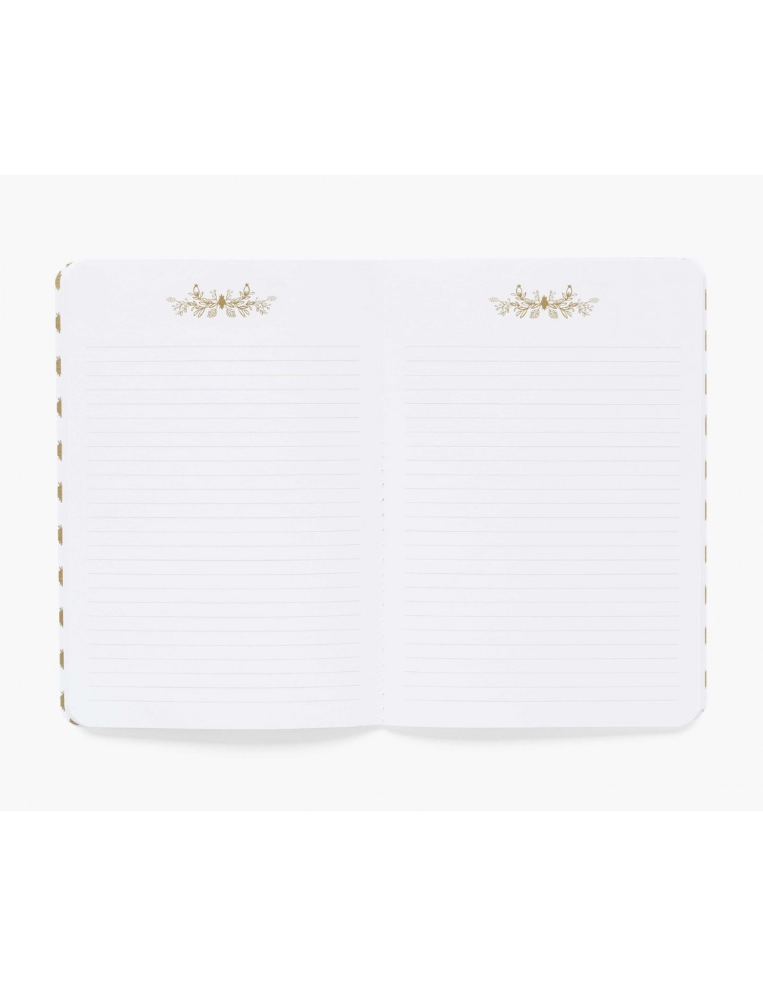 3 carnets Lively floral