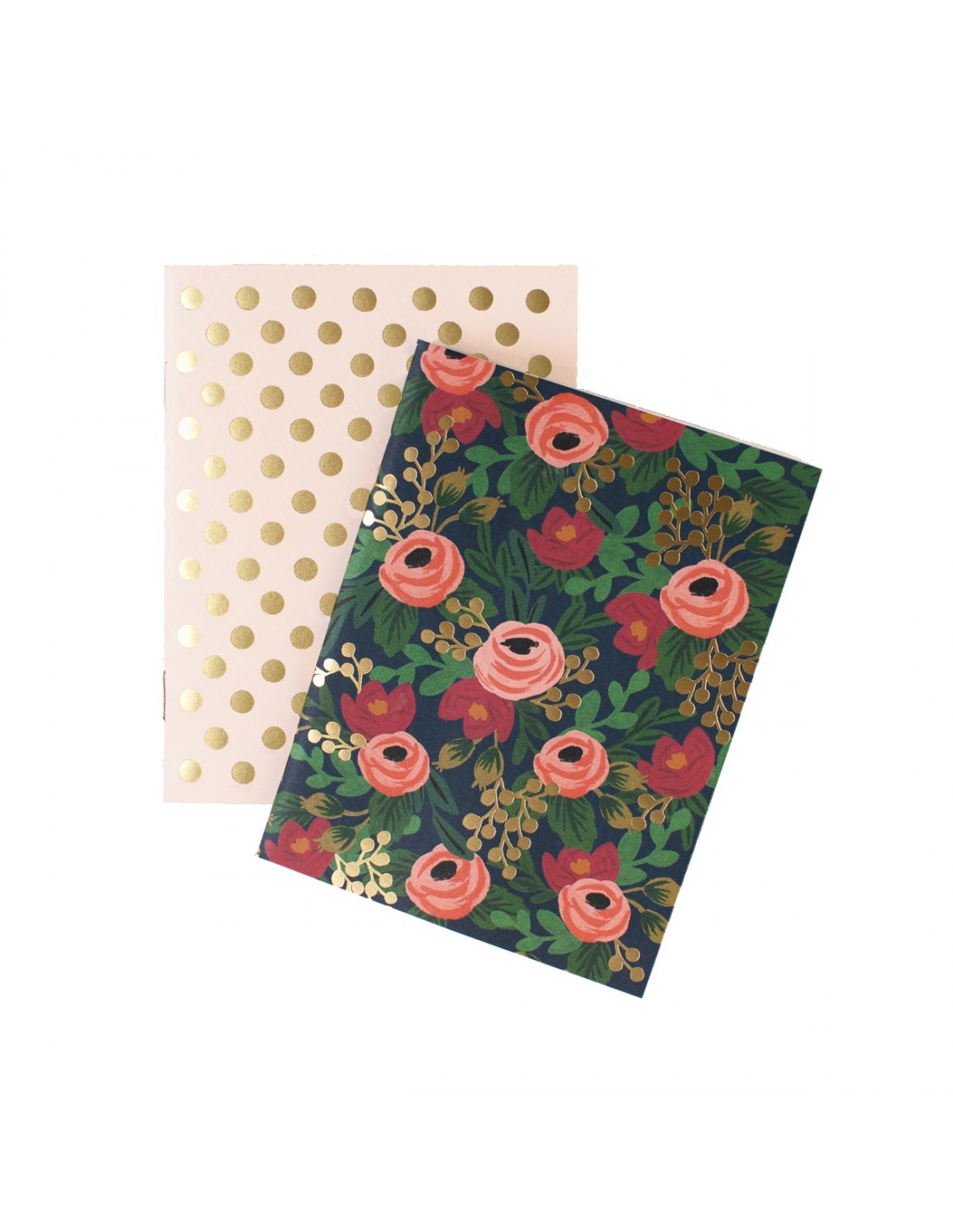 Set de 2 carnets Rosa